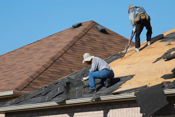 Best Skylight Installation and Repair  in Pagould, AR