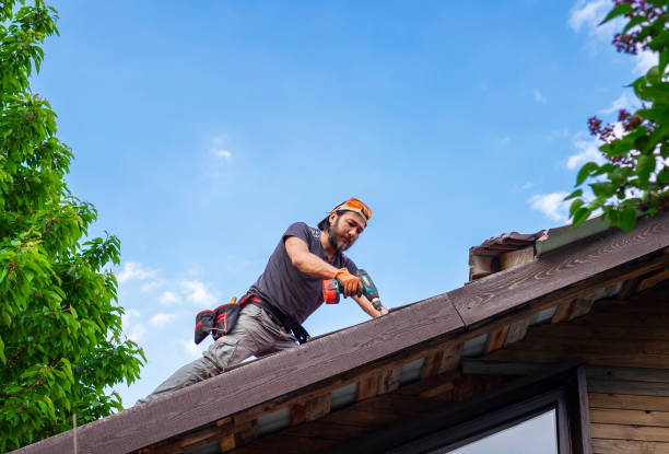 Reliable Paragould, AR Roofing services Solutions