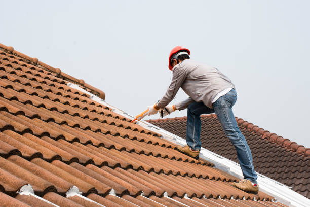 Roof Insulation in Paragould, AR