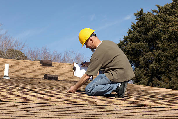 Best Roof Moss and Algae Removal  in Pagould, AR