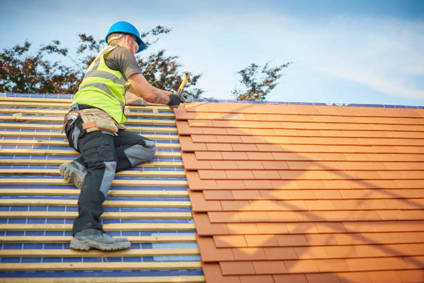 Best Sheet Metal Roofing  in Pagould, AR